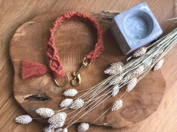 Produktbild Hundehalsband