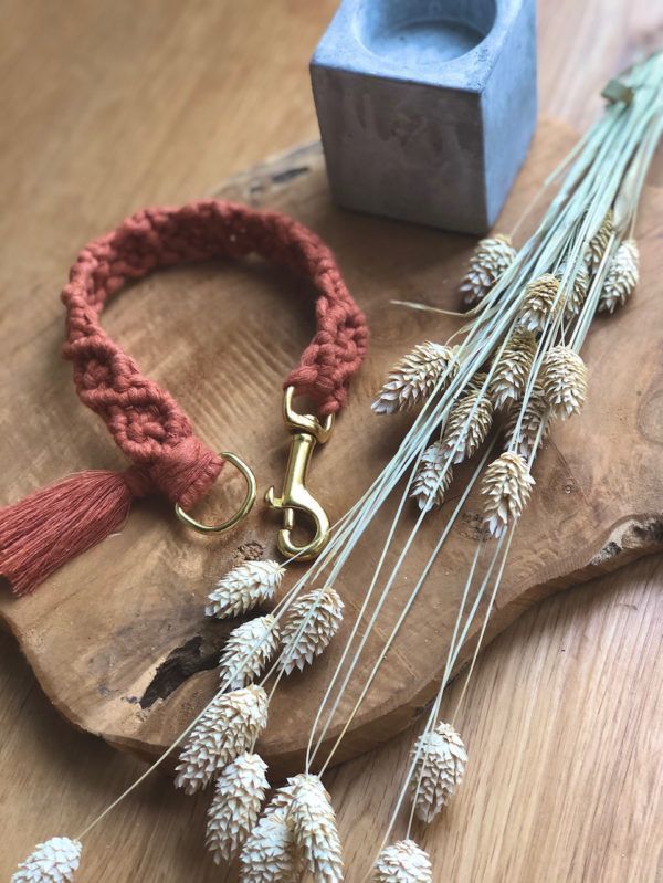 Produktbild Hundehalsband