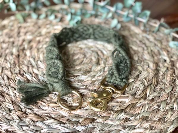 Produktbild Hundehalsband