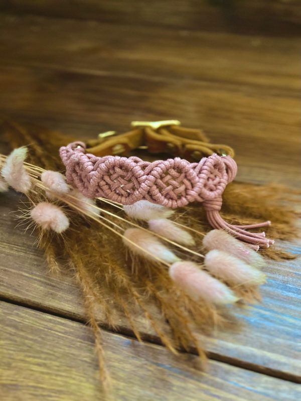 Produktbild Hundehalsband