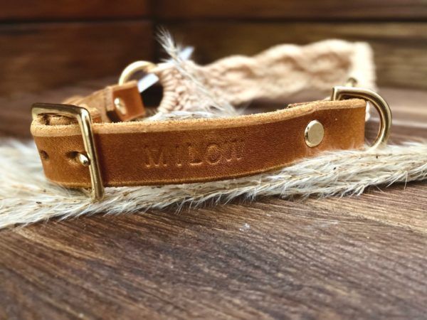 Produktbild Hundehalsband