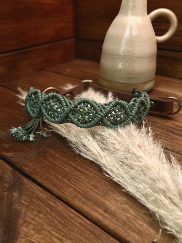 Produktbild Hundehalsband
