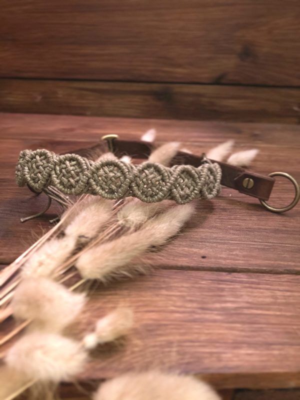 Produktbild Hundehalsband