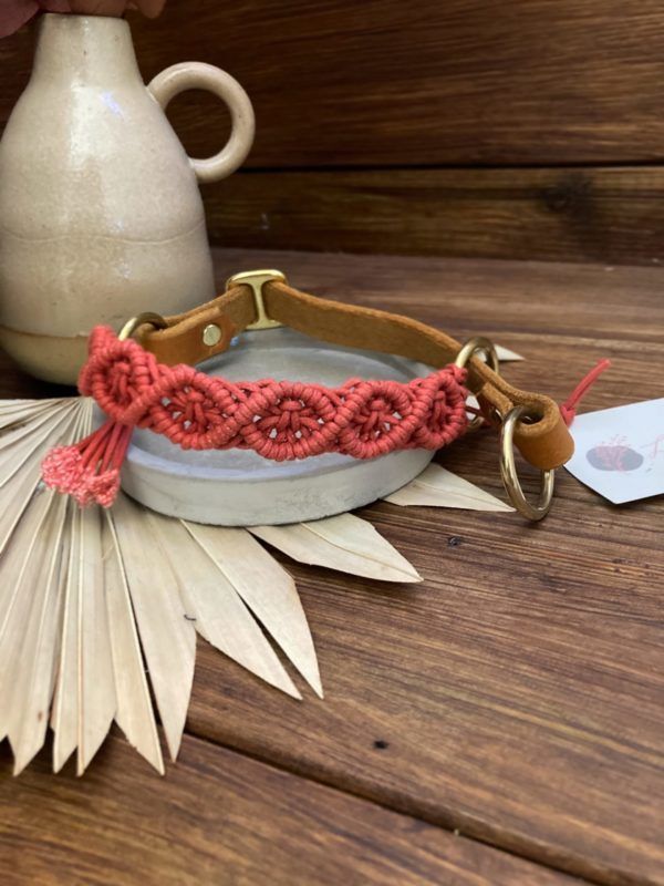Produktbild Hundehalsband