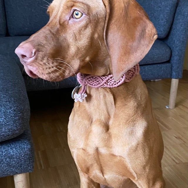 Sabine