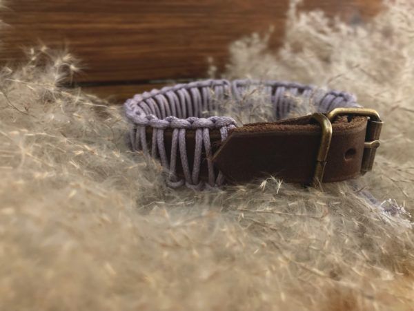 Produktbild Hundehalsband