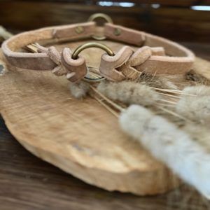 Produktbild Hundehalsband
