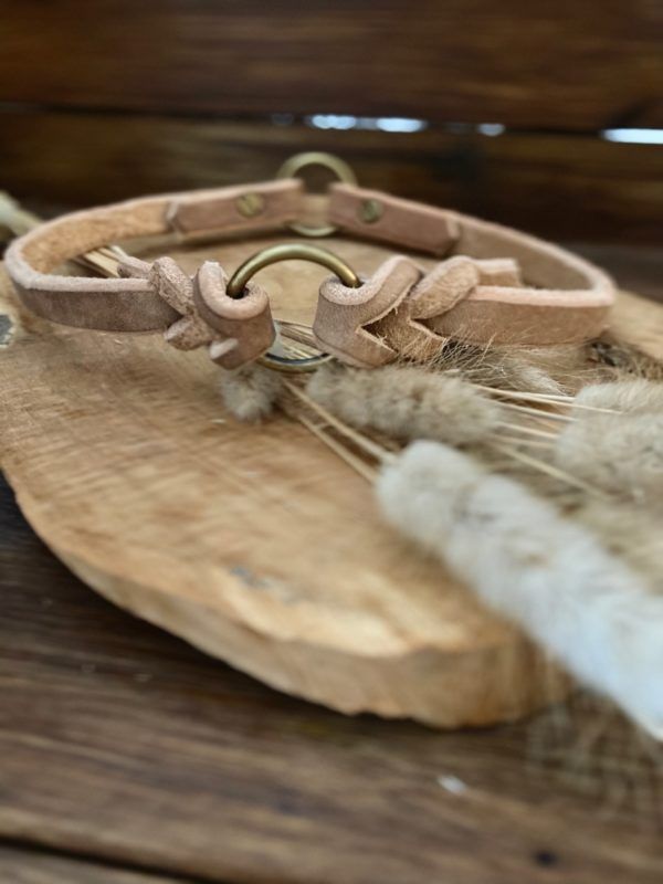 Produktbild Hundehalsband