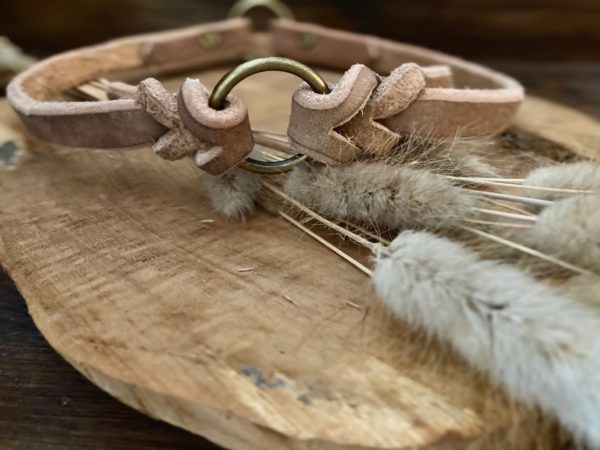 Produktbild Hundehalsband