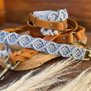 Hundeset Wildheart