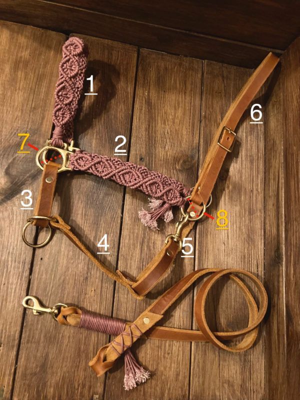 Pferdehalfter BOHO Ausmessen