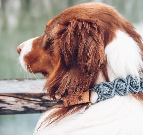 Vegan Boho Halsband aus Korkleder in bluegrey Diamant Berry und antik messing Beschlägen