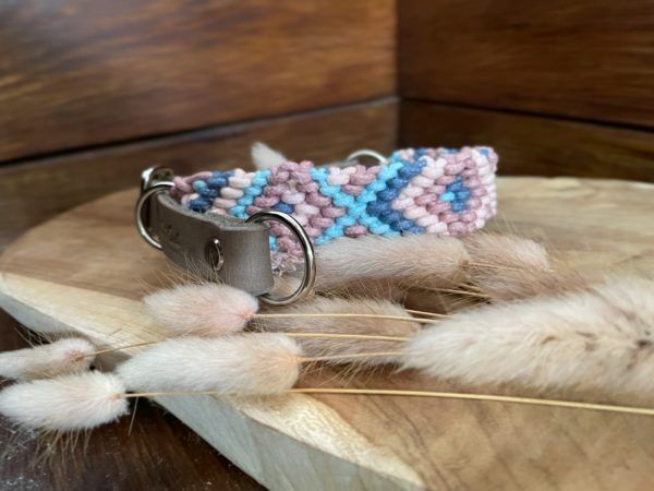 Hundehalsband Hollywood